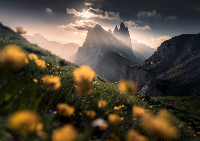 41 New Breathtaking Nature Photos By Karol Nienartowicz That Showcase The Beauty Of The World