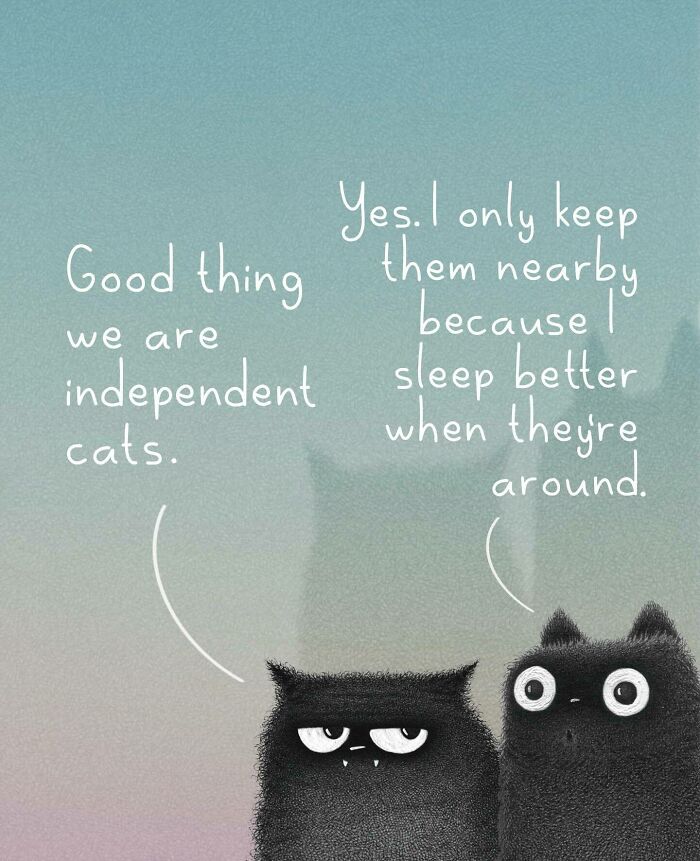 Cat Illustrations Luis Coelho