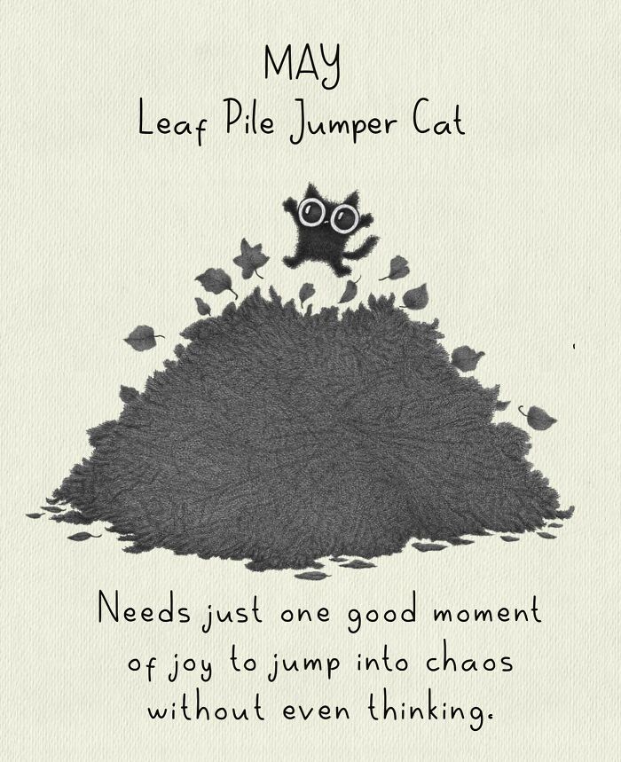 Cat Illustrations Luis Coelho