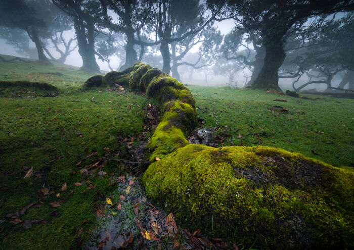 41 New Breathtaking Nature Photos By Karol Nienartowicz That Showcase The Beauty Of The World