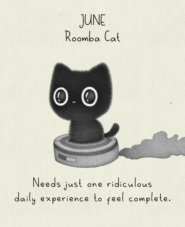 Cat Illustrations Luis Coelho