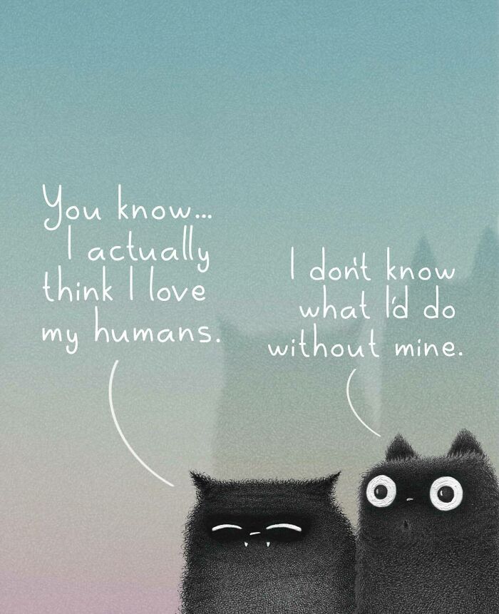Cat Illustrations Luis Coelho