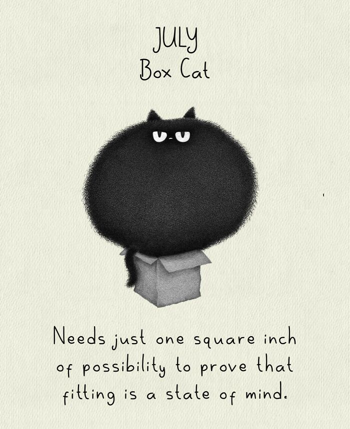 Cat Illustrations Luis Coelho