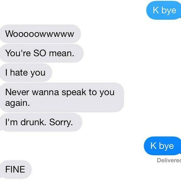 Text exchange with mean words and apology for being drunk