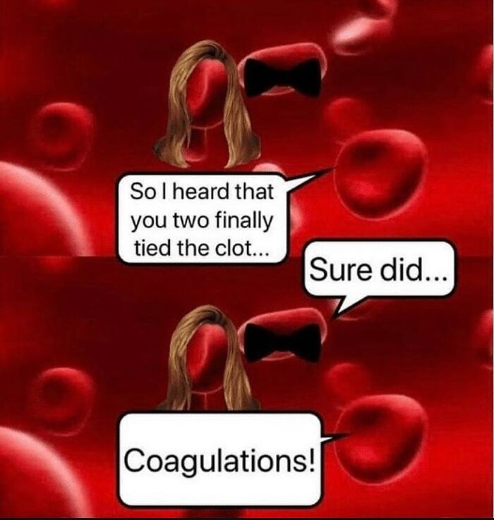 A medical meme: red blood cells as characters with speech bubbles joking about tying the clot. Funny for doctors and nurses.