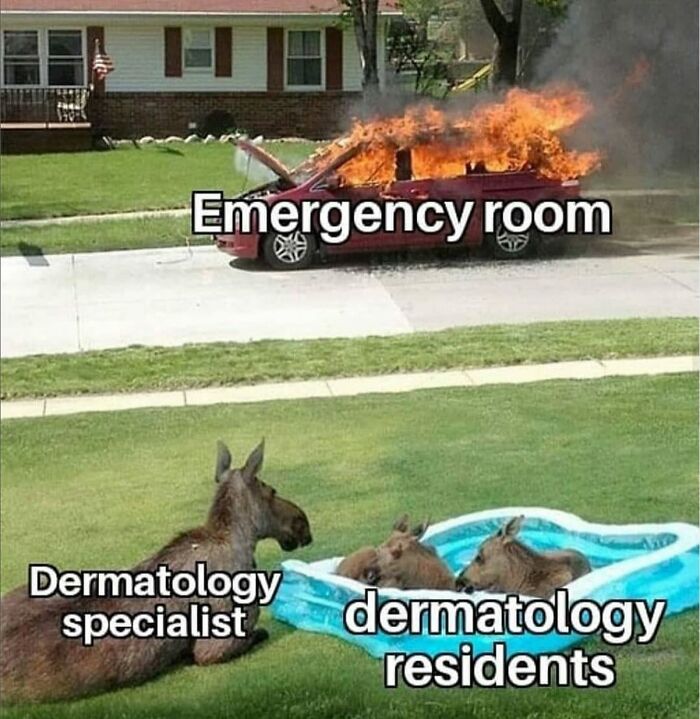 A medical meme: a car on fire labeled Emergency Room, while moose labeled Dermatology specialists relax in a kiddie pool.