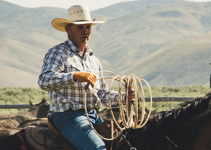 A cowboy in a hat and plaid shirt on horseback, holding a coiled rope, against a mountainous backdrop. US stereotypes.