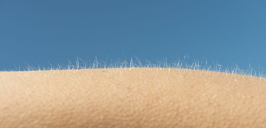 Why Do We Get Goosebumps? The Fascinating Science Behind Your Skin's Reflex