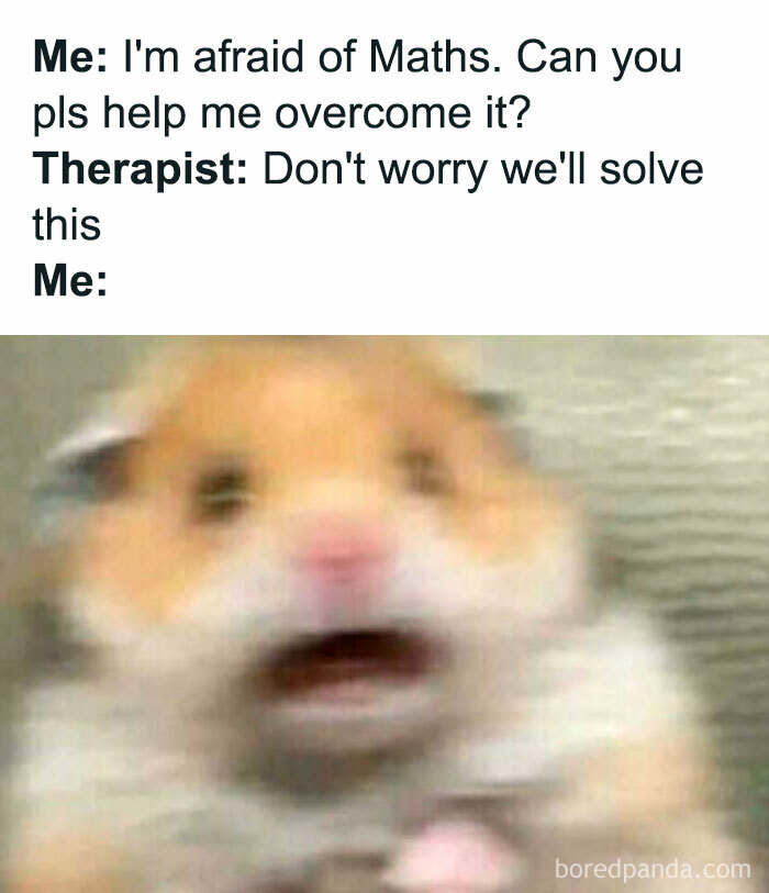 A funny meme about math trauma. A hamster reacts with fear to the word "solve" from a therapist.