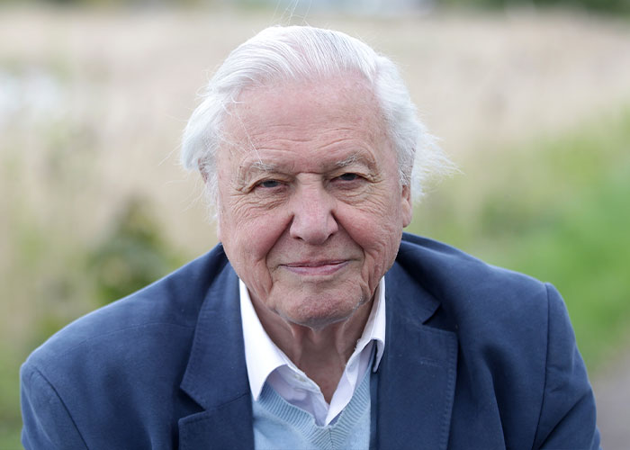 David Attenborough, smiling with white hair and a blue jacket, sharing insights on his longevity and specific diet.