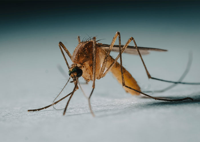 "Villain Origin Story": Bill Gates' 'Mutant' Mosquito Factory Goes Viral After People Learn What It's For