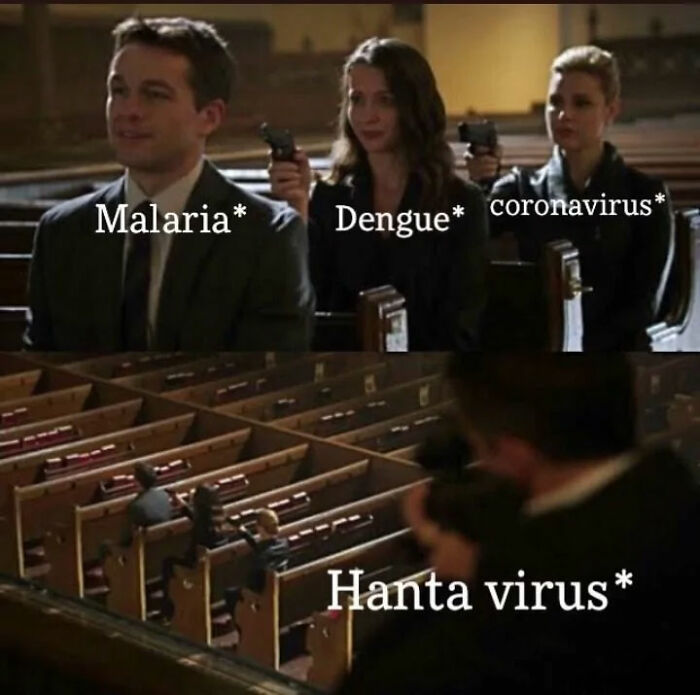 Hantavirus-Memes-Tweets-Reactions