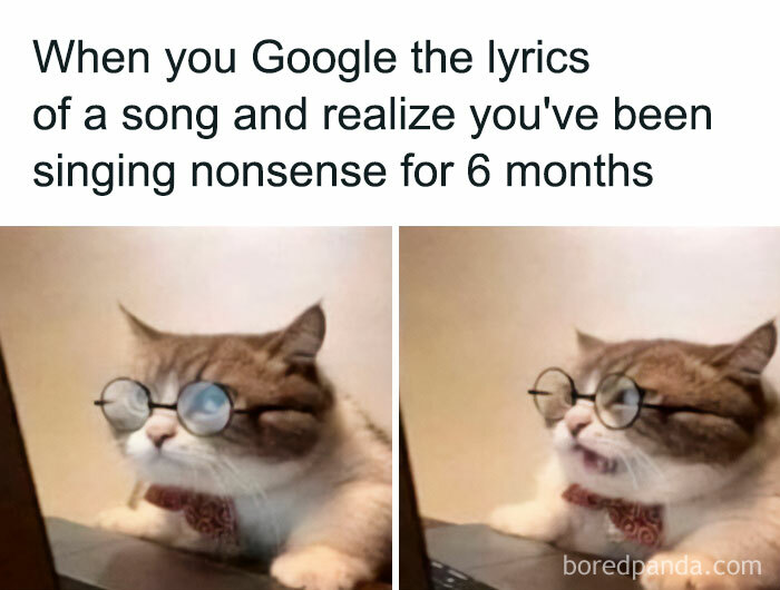 Cat wearing glasses realizing singing wrong lyrics meme funny animal meme