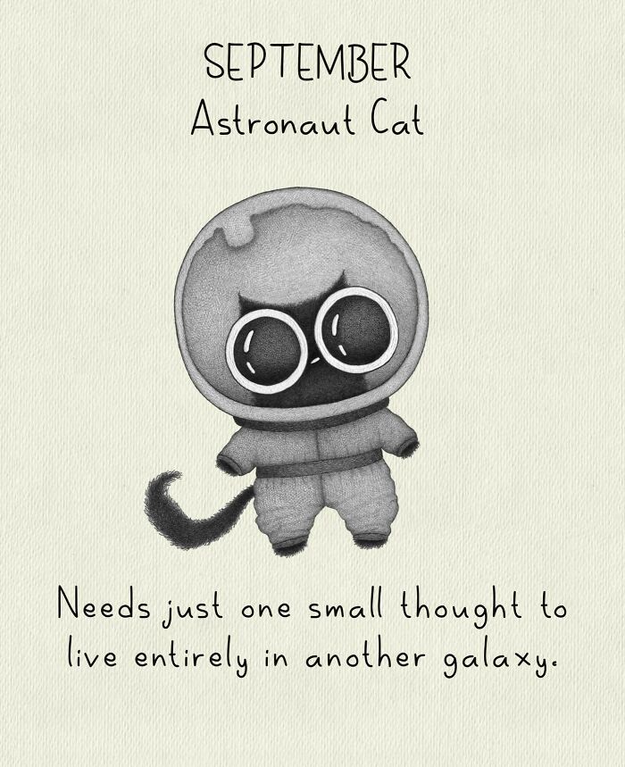 Cat Illustrations Luis Coelho