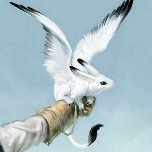 kyliebyczek avatar