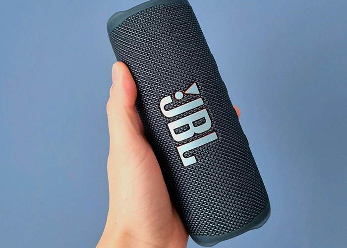 A hand holds a gray JBL portable speaker. It's a common item, unlike the unusual things people of low intelligence do.