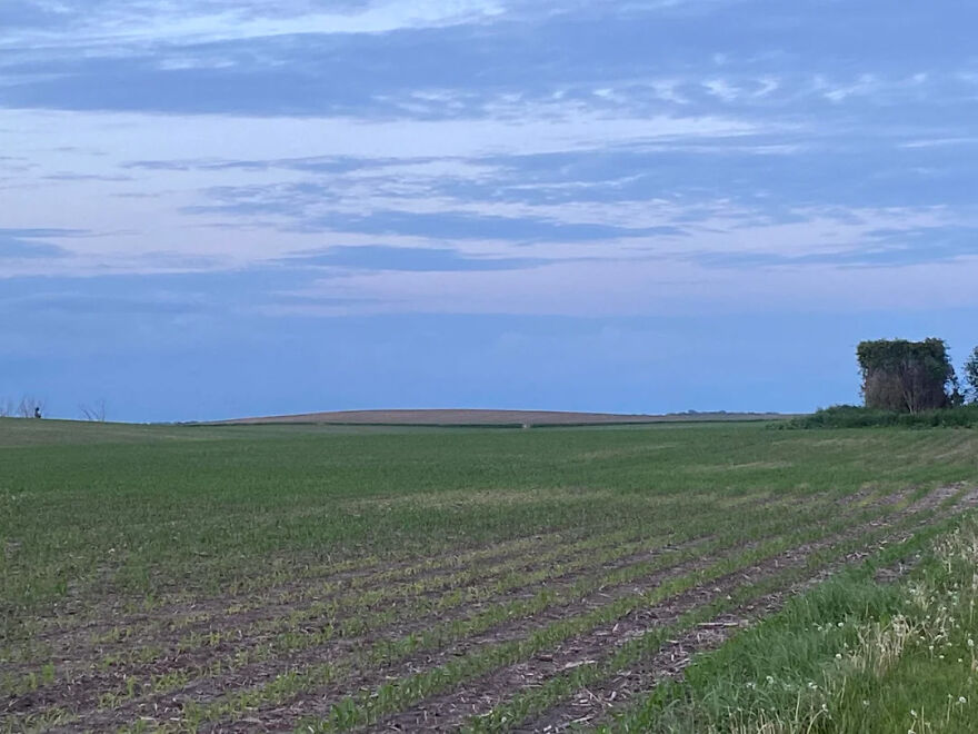 A vast green field with rows of crops under a cloudy blue sky, depicting a serene rural setting, far from stressful jobs.