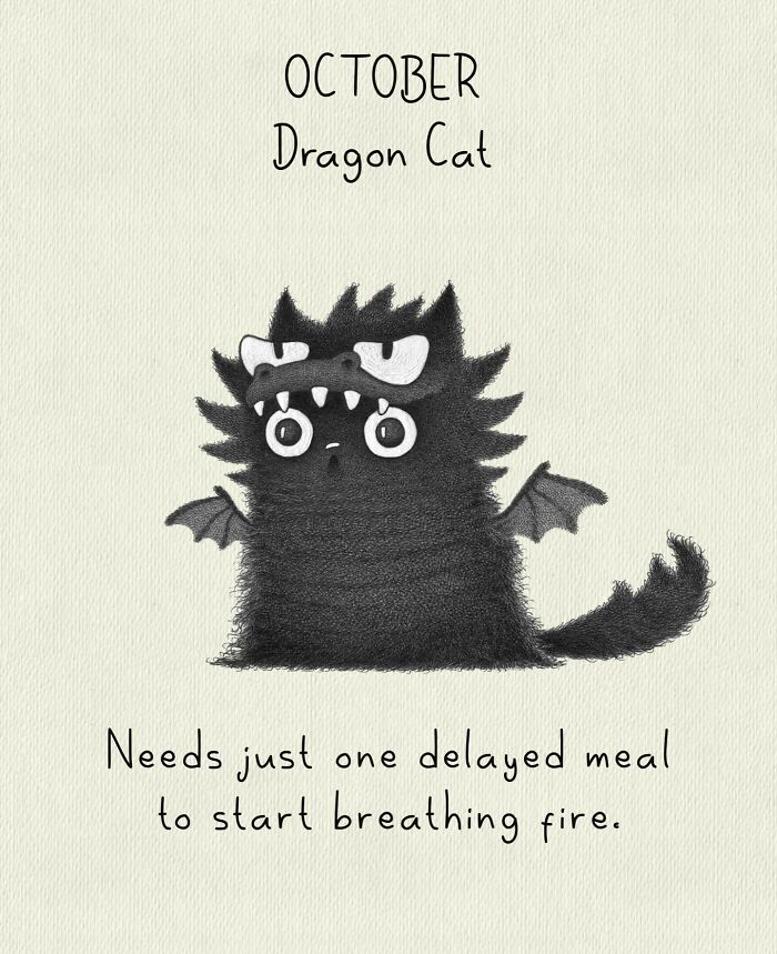 Cat Illustrations Luis Coelho