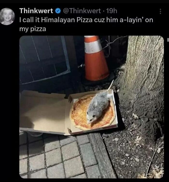 Hilarious meme of a possum on a pizza called Himalayan pizza