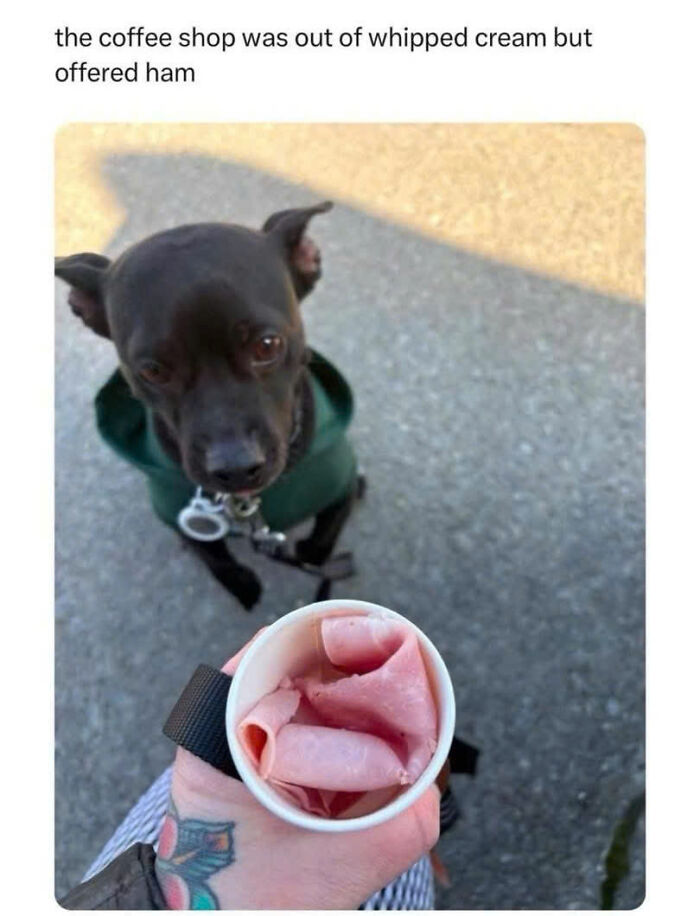 Wholesome-Memes-Memeuplift