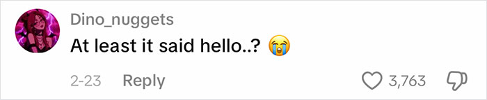 A social media comment from "Dino_nuggets" that says, "At least it said hello..?" with a crying emoji, related to a viral video about a creature. A social media comment from "Dino_nuggets" that says, "At least it said hello..?" with a crying emoji, related to a viral video about a creature.