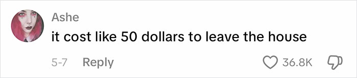 Gen Z saying it costs 50 dollars to leave the house Gen Z saying it costs 50 dollars to leave the house