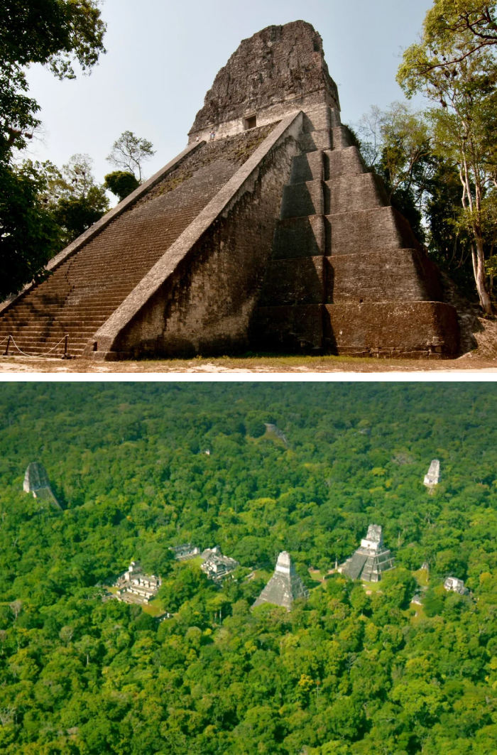 Historic coastal fort and ruins overtaken by lush green vegetation and surrounded by water
