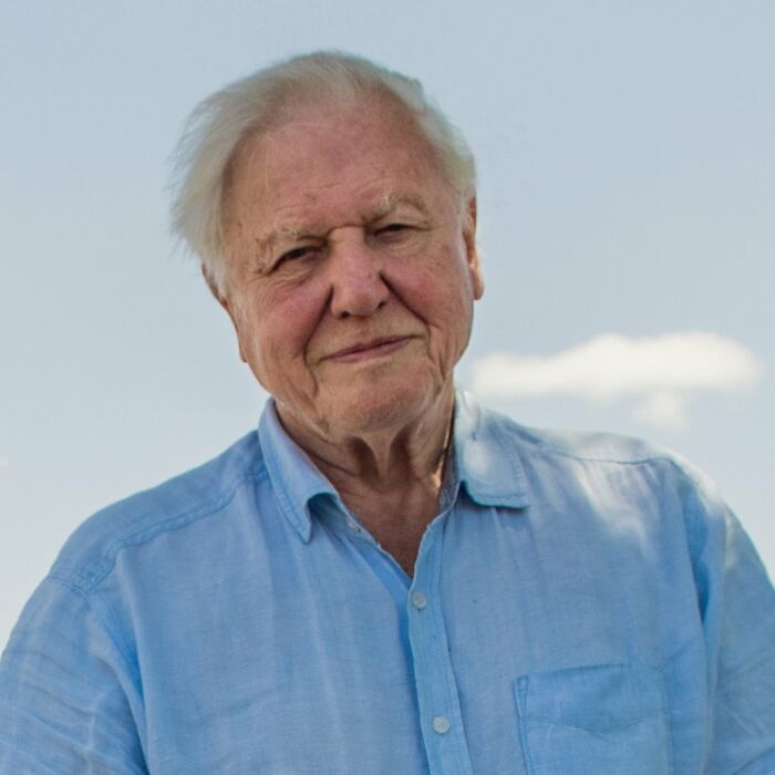 David Attenborough, a senior man with white hair and a blue shirt, smiling outdoors. His long life secret.