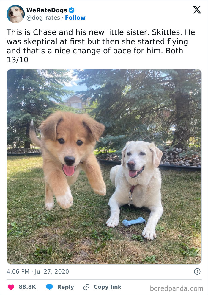 Wholesome-Memes-Memeuplift