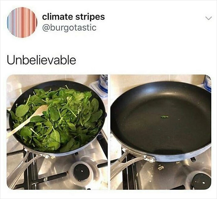 A meme showing a pan full of spinach and the same pan with one tiny leaf after cooking. Funny memes for vegans.