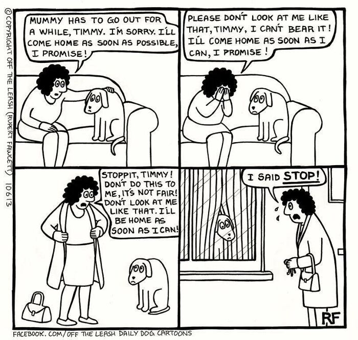 Guilt Trip With Dogs