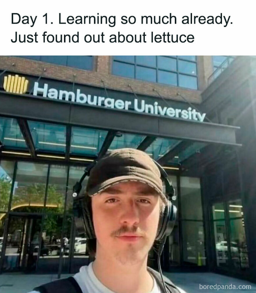 Relatable post about learning at Hamburger University and lettuce