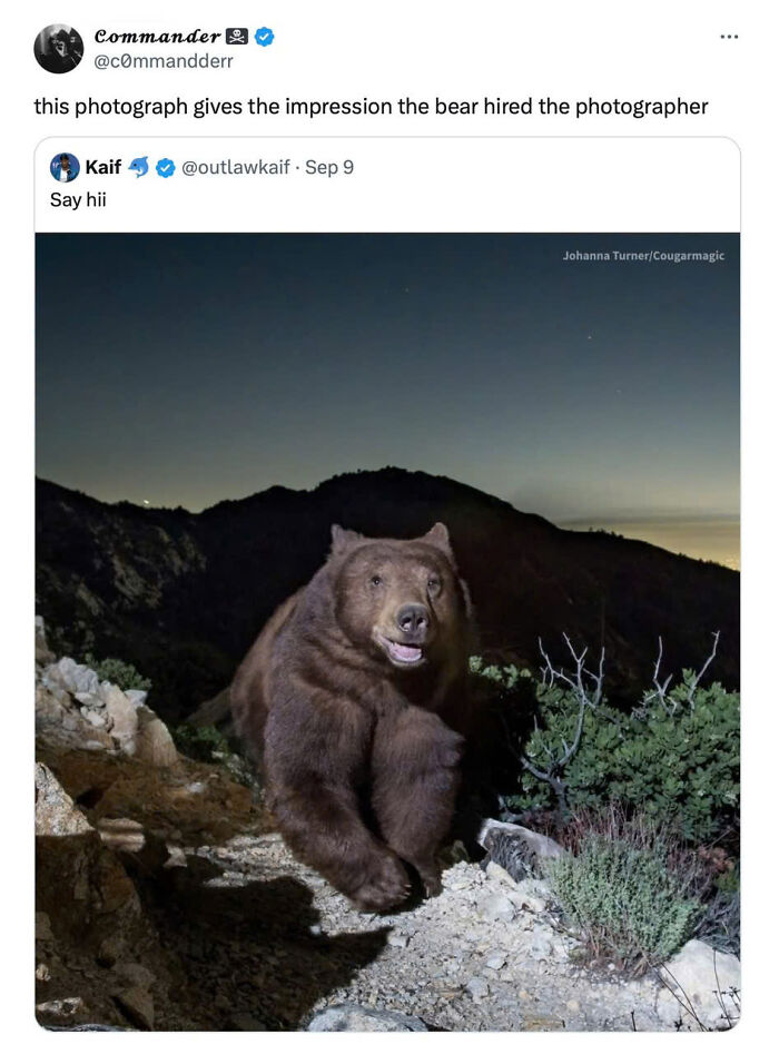 Wholesome-Memes-Memeuplift