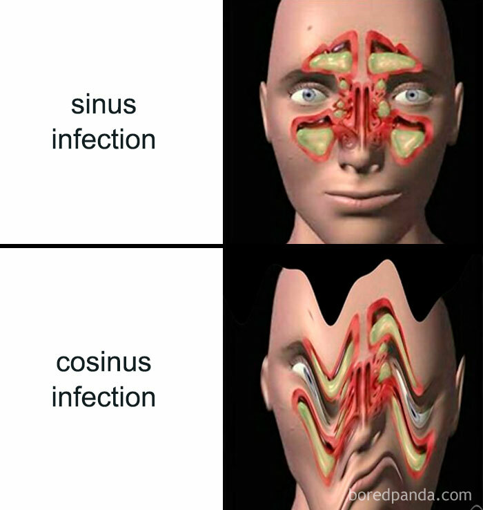 A funny meme comparing "sinus infection" to a distorted "cosinus infection" on a human head diagram. Brings back math trauma!