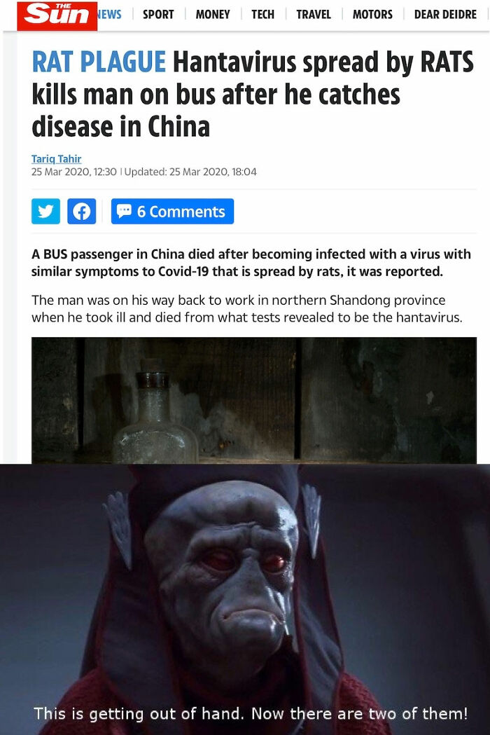 Hantavirus-Memes-Tweets-Reactions
