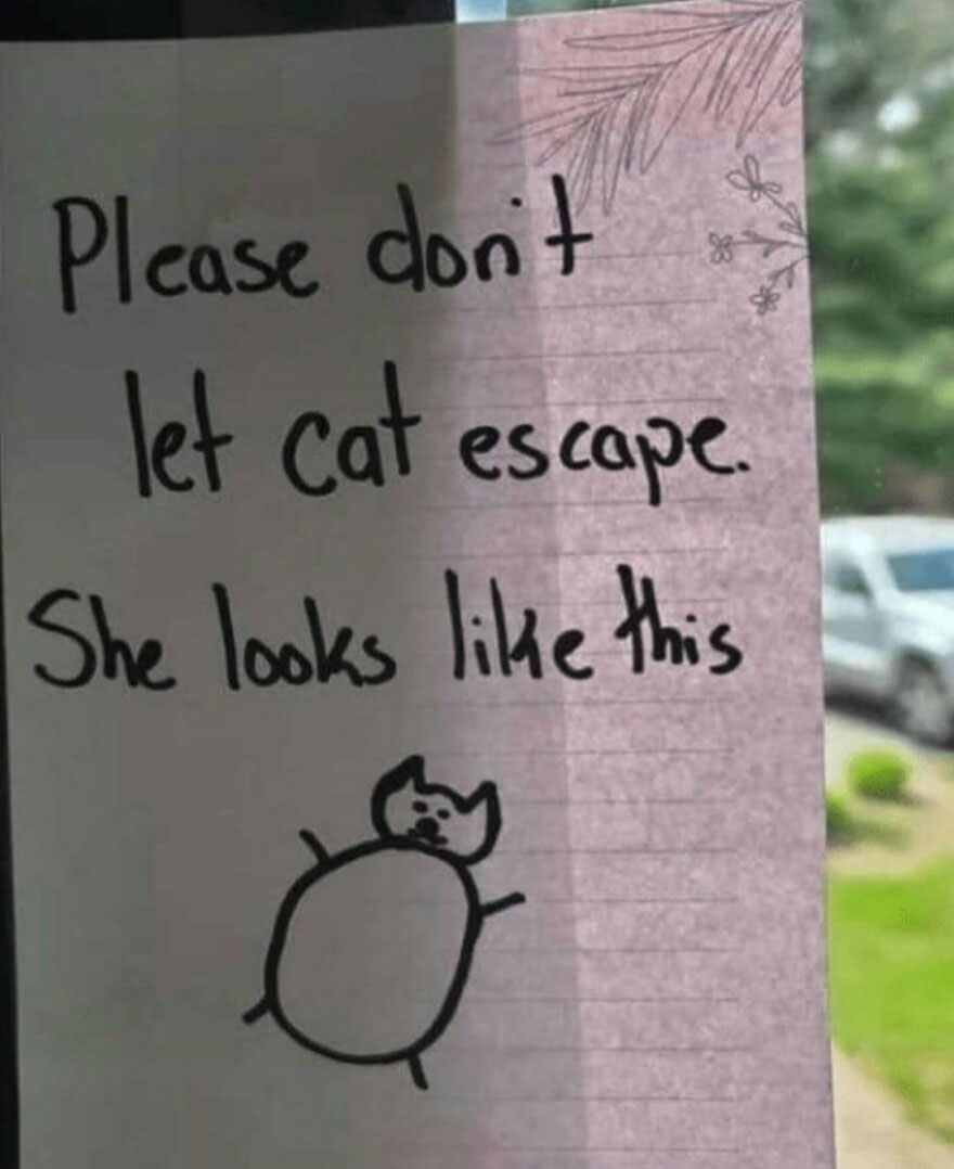 Handwritten funny note about cat escape with simple drawing in unhinged relatable posts