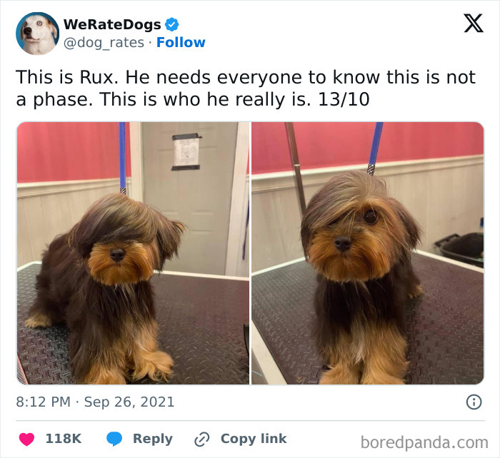 Wholesome-Memes-Memeuplift
