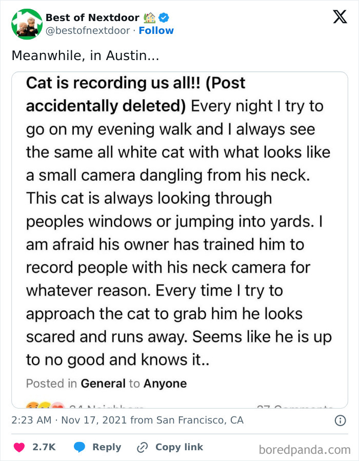 Neighbor post about suspicious cat with neck camera recording neighbors