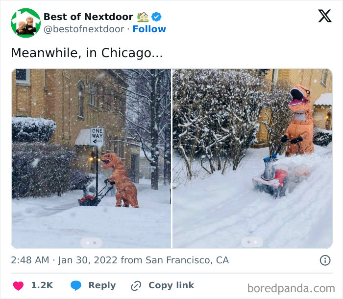 Person in dinosaur costume using snow blower in snowy Chicago neighborhood