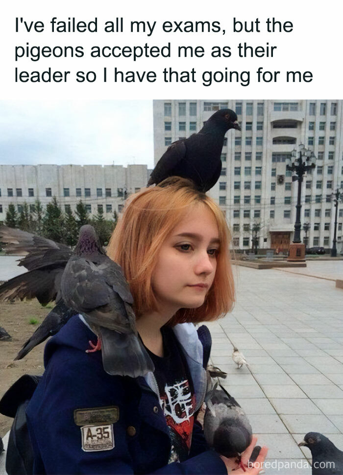 Girl with pigeons accepted as their leader meme