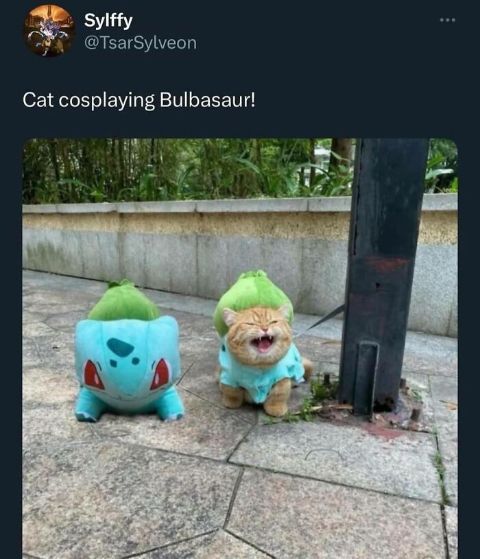 Wholesome-Memes-Memeuplift