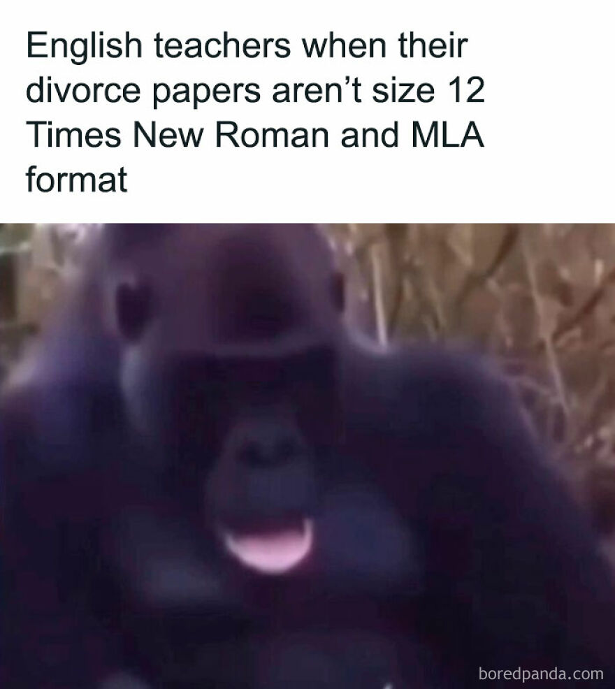 Funny unhinged post about English teachers and MLA format divorce papers