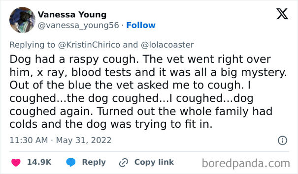 A screenshot of a tweet from Vanessa Young about her dog with a cough, a funny story to make your day.