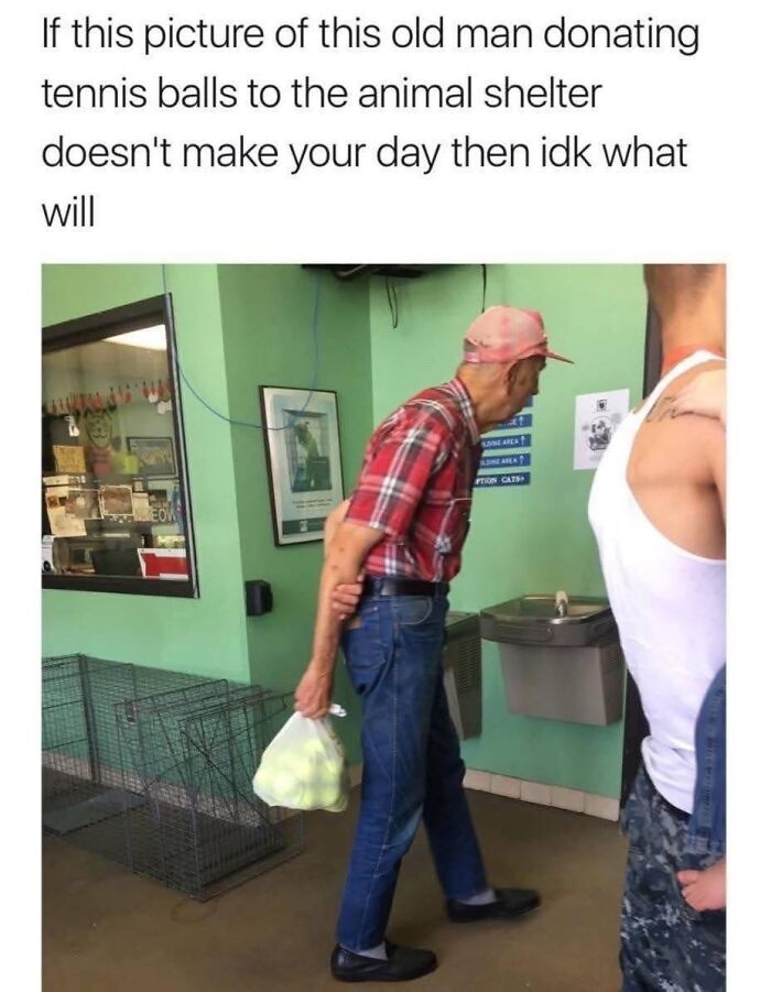 An old man in a red plaid shirt and jeans brings a bag of tennis balls to an animal shelter. Wholesome memes.