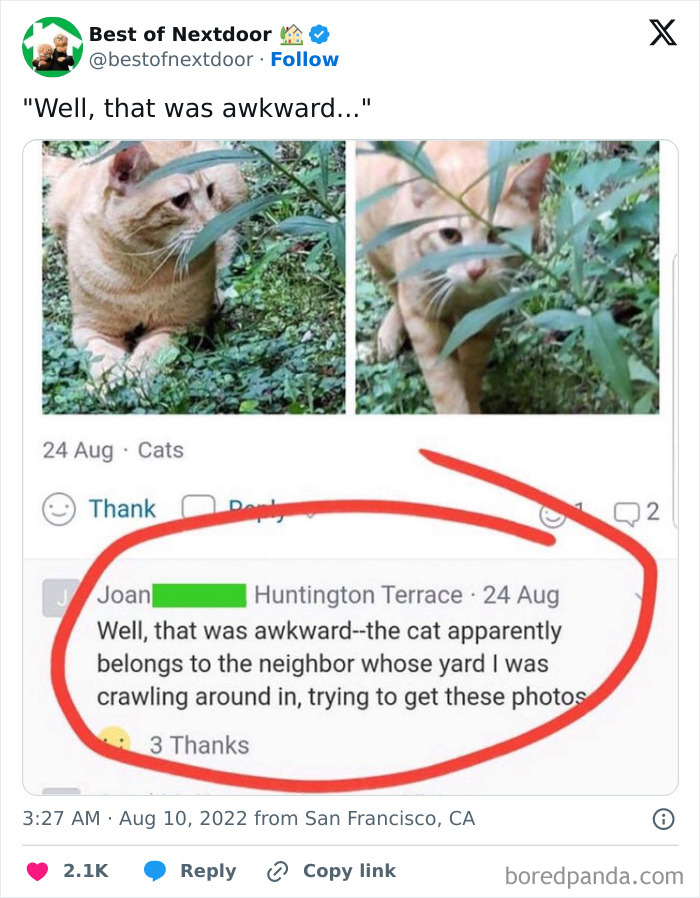 Neighbor's awkward encounter with cat while taking photos in yard
