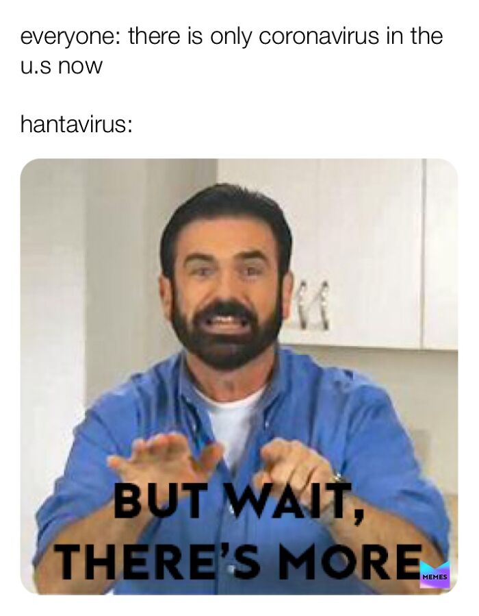 Hantavirus-Memes-Tweets-Reactions