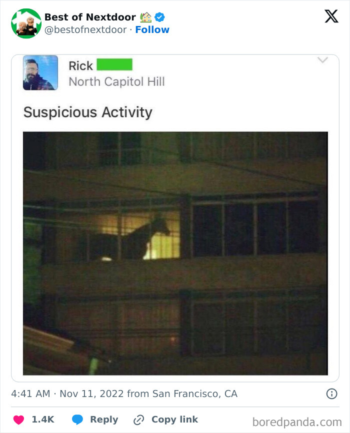 Nighttime photo of a horse seen through apartment windows flagged as suspicious activity