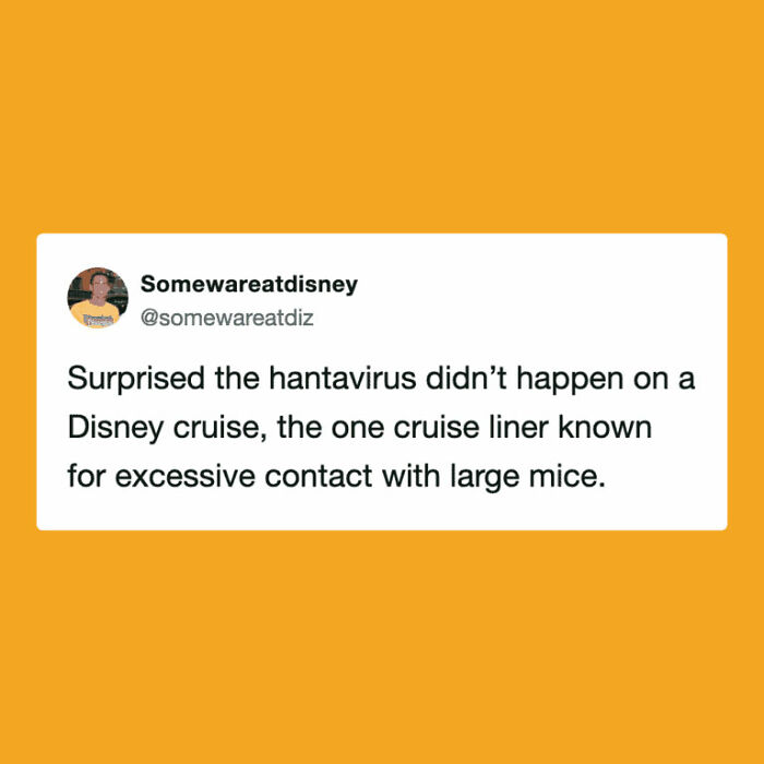 Hantavirus-Memes-Tweets-Reactions