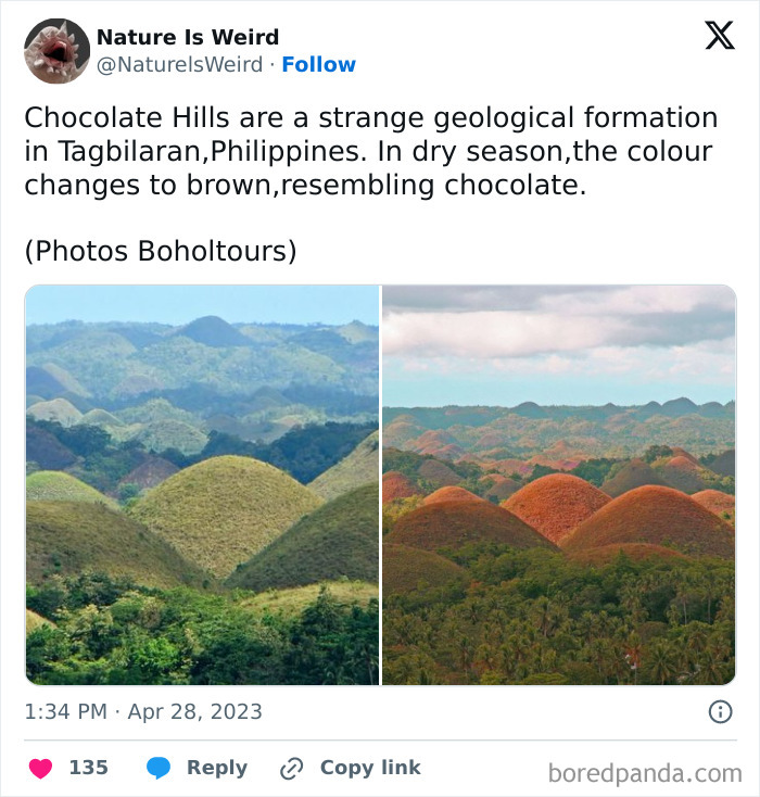 Chocolate Hills geological formation in Tagbilaran Philippines
