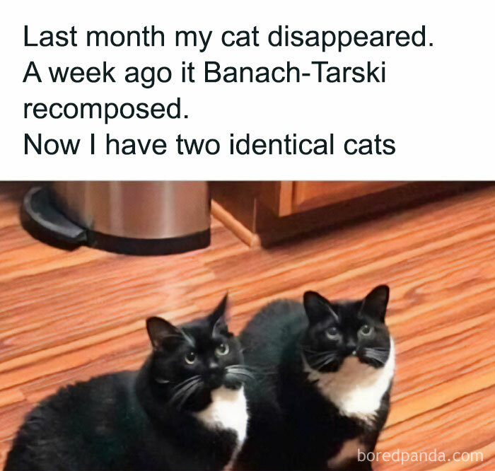 Two identical black and white cats sitting on a wooden floor, illustrating a funny math meme about the Banach-Tarski paradox.